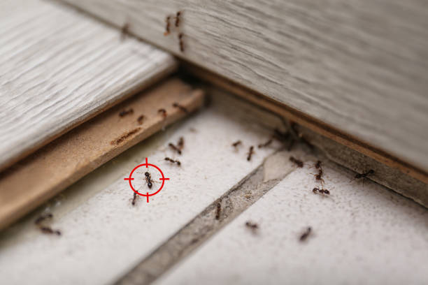 Best Residential Pest Control  in Green Springs, OH