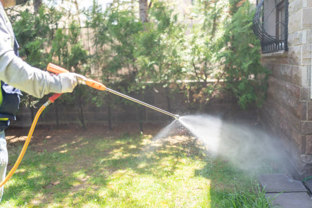 Best Ant Control Services  in Green Springs, OH