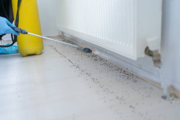 Best Commercial Pest Control Services  in Green Springs, OH