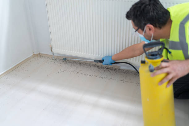 Best Affordable Pest Control Services  in Green Springs, OH