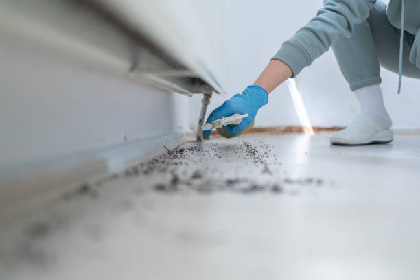 Professional Pest Control in Green Springs, OH